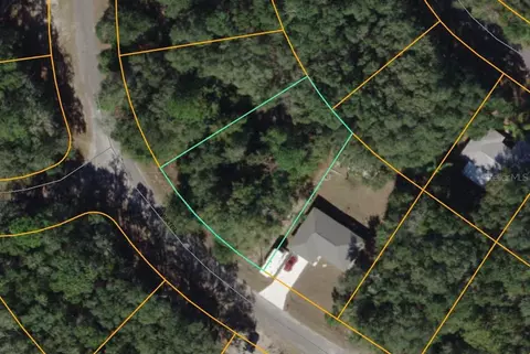 Guava Terrace, Ocklawaha, FL 32179