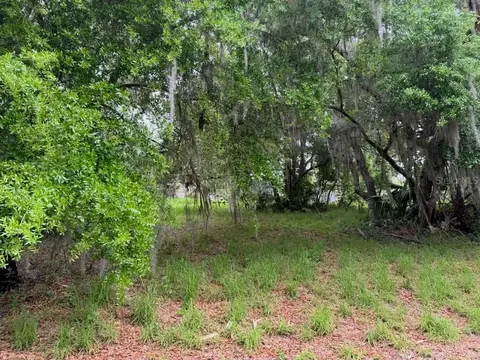 Morningside Drive, Eustis, FL 32726