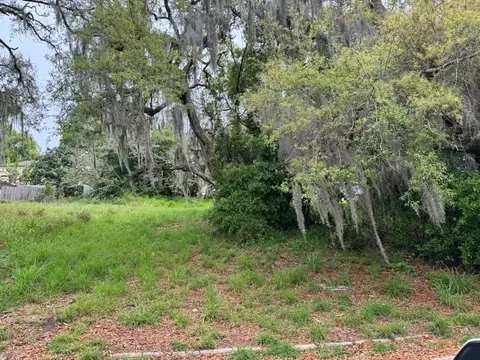Morningside Drive, Eustis, FL 32726
