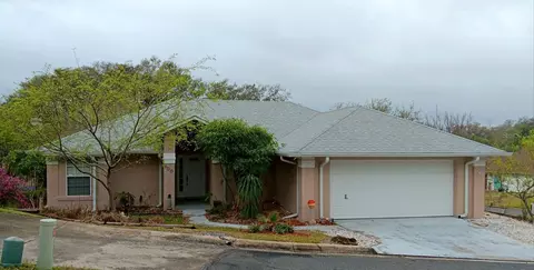 600 Huron Pl, Mount Dora, FL 32757 photo 1