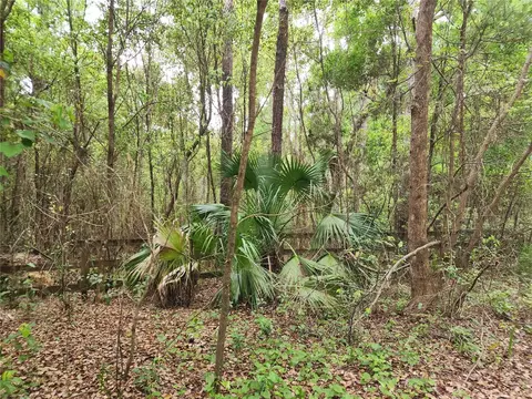 15363 SE 156th Place Rd, Weirsdale, FL 32195