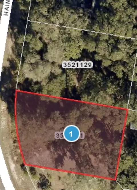 Haines Creek Road, Leesburg, FL 34788