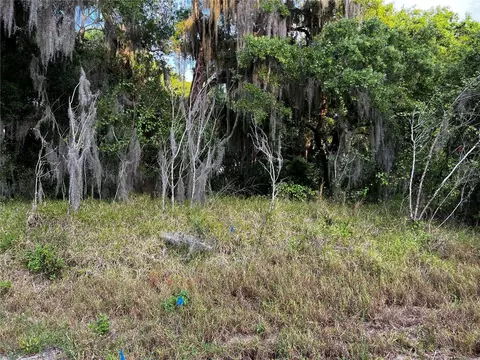 Haines Creek Road, Leesburg, FL 34788