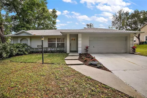 412 Stanley Bell Dr, Mount Dora, FL 32757