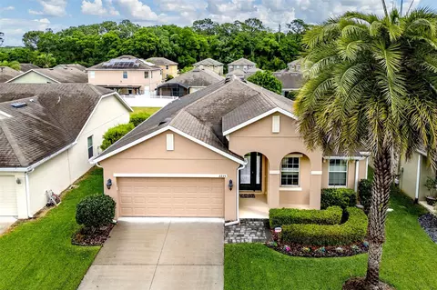 2235 Natoma Blvd, Mount Dora, FL 32757