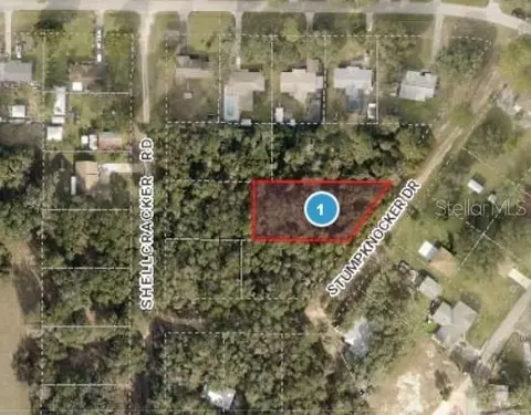 Stumpknocker Drive, Fruitland Park, FL 34731