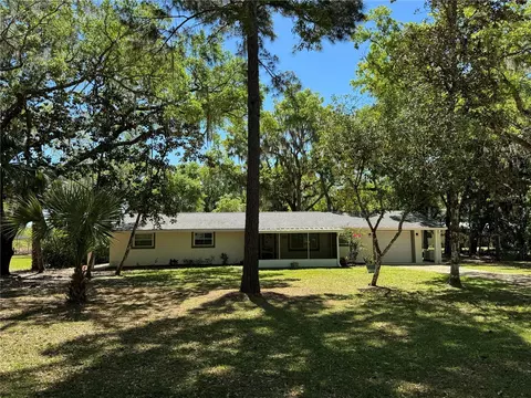 19024 SE 162nd St, Weirsdale, FL 32195