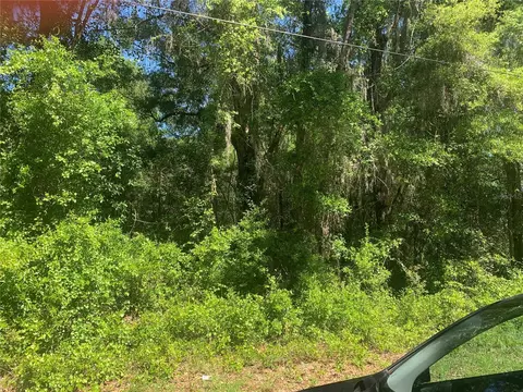 33023 Square Stone St, Webster, FL 33597