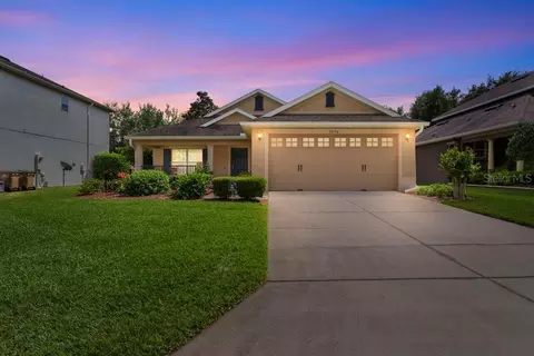 30136 Tokara Ter, Mount Dora, FL 32757