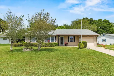 26208 Newcombe Cir, Leesburg, FL 34748