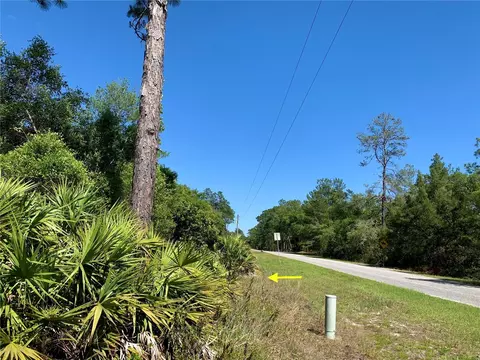 Lot 12 Fir Street, Eustis, FL 32736