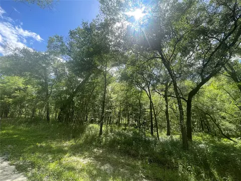 Packingham Drive, Webster, FL 33597