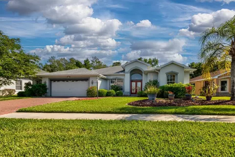 27305 Autumn Grove Ct, Leesburg, FL 34748
