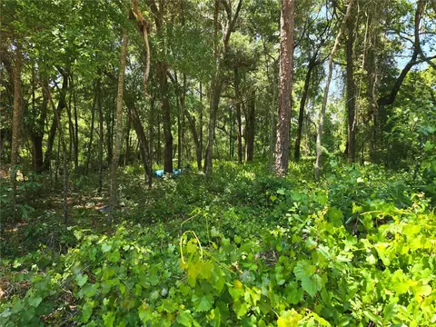 SE 284th Court, Umatilla, FL 32784