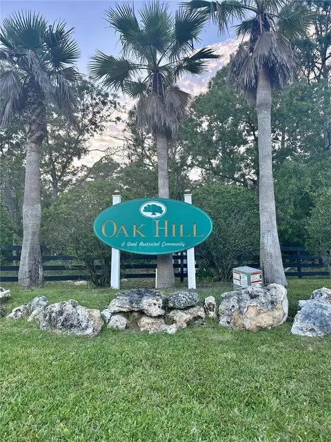 Tbd Cr 243, Wildwood, FL 34785