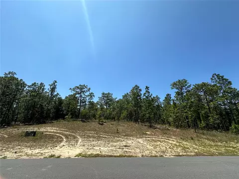 Cr 243, Wildwood, FL 34785