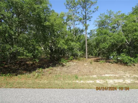 6004 N Darlington Dr, Citrus Springs, FL 34434