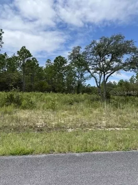 9750 N Lovell Dr, Citrus Springs, FL 34433