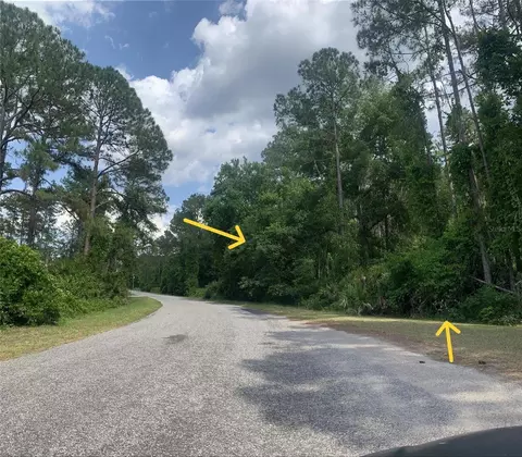 Apricot Avenue, Eustis, FL 32736