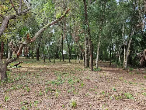 1316 E 9th Ave, Mount Dora, FL 32757