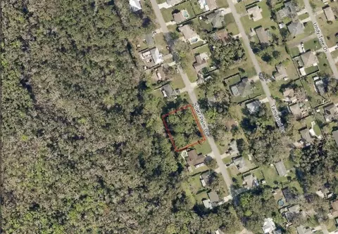 Silver Palm Drive, Edgewater, FL 32141 photo 4