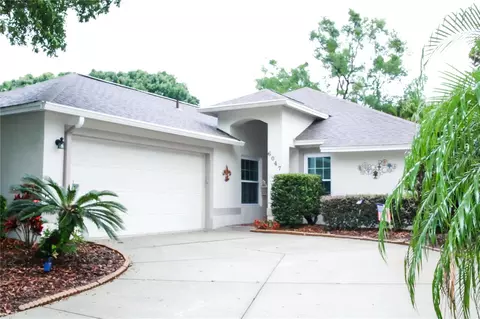 6047 Spring Creek Ct, Mount Dora, FL 32757