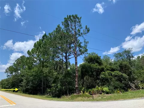 Lot 8 E Thyme Avenue, Eustis, FL 32736
