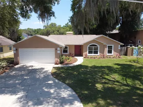 1419 E 8th Ave, Mount Dora, FL 32757