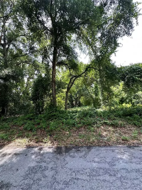 se 162nd terrace #20, Ocklawaha, FL 32179