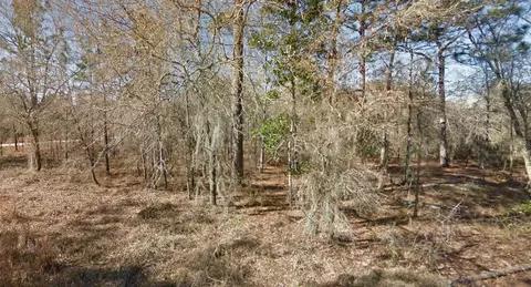 ne 16th street LOT 5, Williston, FL 32696