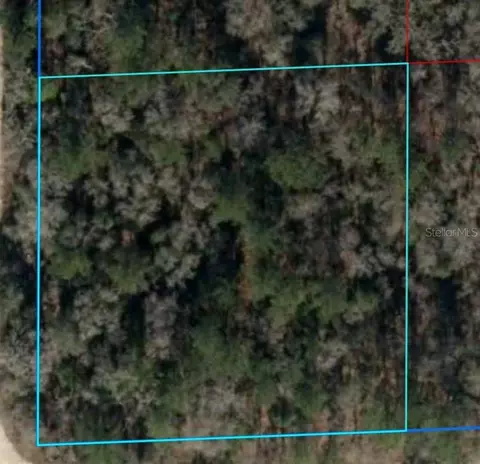 ne 16th street LOT 6, Williston, FL 32696