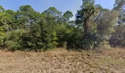 717 Brooklyn Loop, Labelle, FL 33935