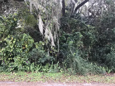 Tbd West Parkhill Ave, Bushnell, FL 33513