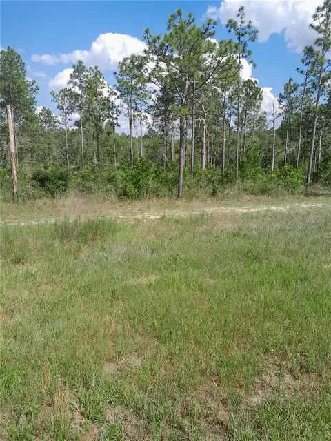 121 State Rd, Morriston, FL 32668