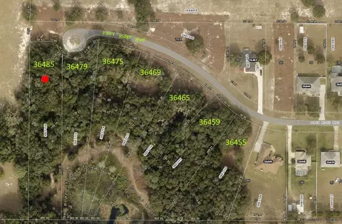 36485 Piney Ridge Blvd, Fruitland Park, FL 34731