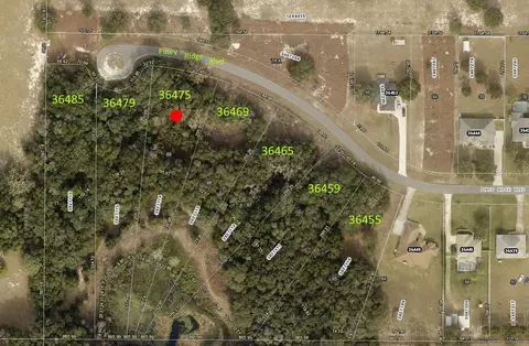 36475 Piney Ridge Blvd, Fruitland Park, FL 34731