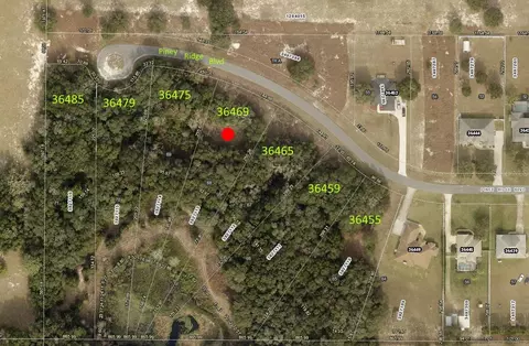 36469 Piney Ridge Blvd, Fruitland Park, FL 34731
