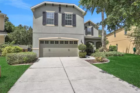 20836 Oldenburg Loop, Mount Dora, FL 32757