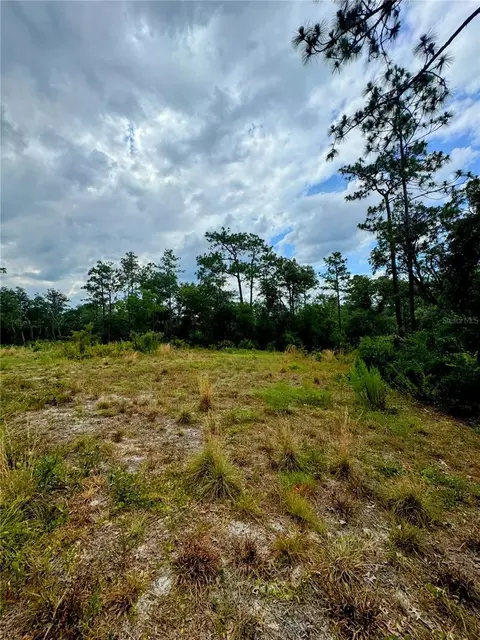 Softstone Drive, Webster, FL 33597
