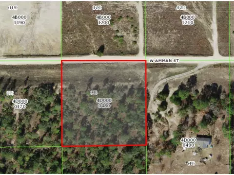 5538 W Ammon St, Dunnellon, FL 34433