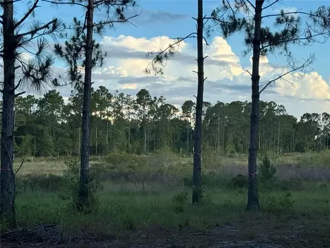 Orange Blossom Rd, Howey In The Hills, FL 34737