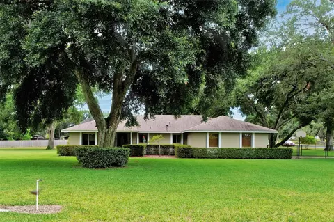 37206 S Fish Camp Rd, Grand Island, FL 32735