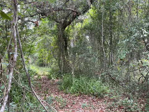 00 SE 66 Th St, Ocklawaha, FL 32179