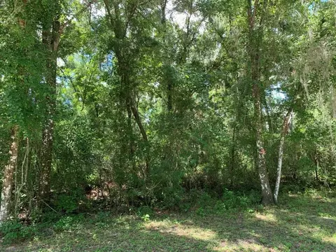 7329 Packingham Dr, Webster, FL 33597