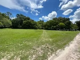 Ne Fourth Street, Webster, FL 33597 photo 2