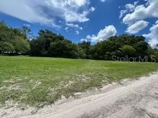 Ne Fourth Street, Webster, FL 33597 photo 4