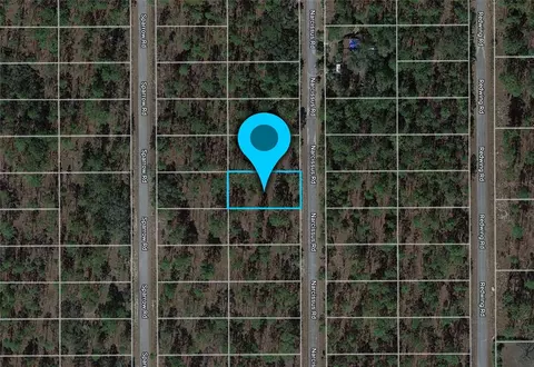 lot47 NW Narcissus Rd, Dunnellon, FL 34431