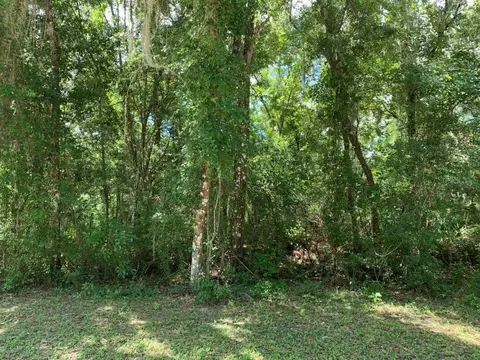 7335 Packingham Dr, Webster, FL 33597