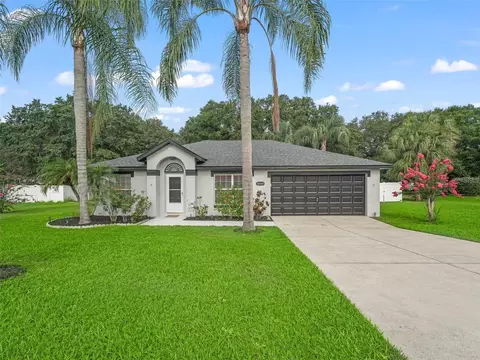 36947 Slice Ln, Grand Island, FL 32735
