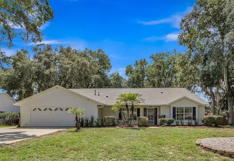 11023 Riverside Rd, Leesburg, FL 34788